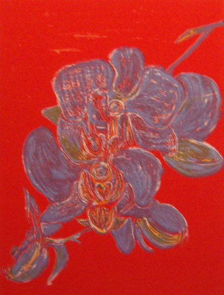 Violette Blume