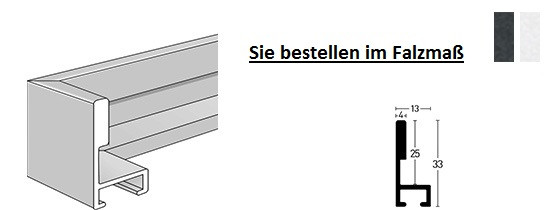 Nielsen Schattenfuge Alu Profil 214